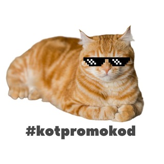 Логотип @kot_promokod - Кот Промокод🚀
