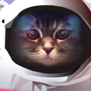 Логотип @kot_sh - Кот Шрёдингера