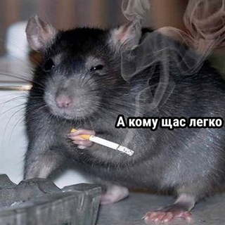 Логотип @kotabarabaka - БАРАБАКА