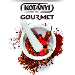Логотип @kotanyirf - Kotanyi_Professional