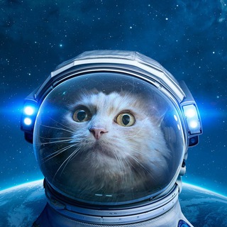 Логотип @kotbesconechnosti - Кот бесконечности