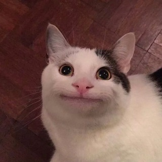 Логотип @kotbl_voiteli - я лишь хотел продвинуть своё творчество