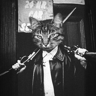 Логотип @kote_banditi - Пушистые бандиты