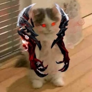 Логотип @kotekidota2 - dota 2 в схемах и мемах