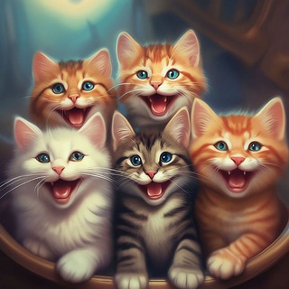 Логотип @kotenushka - Котенька 🐈