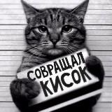 Логотип @koteparty - 🄺 🄾 🅃 🄴 🐾 🄿 🄰 🅁 🅃 🅈