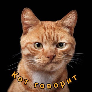 Логотип @kotey102 - Кот говорит