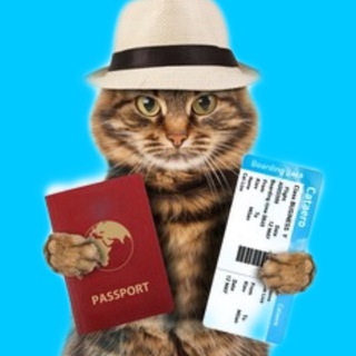 Логотип @koti_travel - Вокруг света 🌍