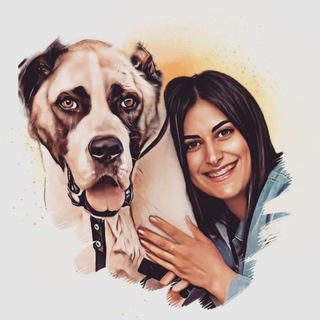 ЧД. Запасной