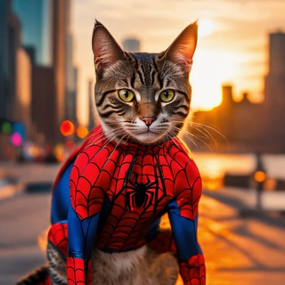 Логотип @kotik_films - ЛУЧШИЕ ФИЛЬМЫ 2024