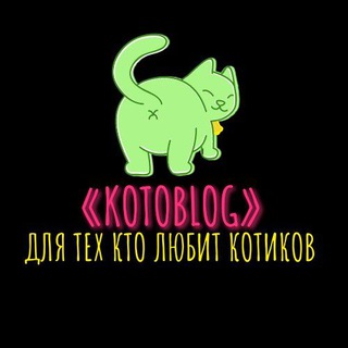 Логотип @kotik_kisa_chmok - КОТОБЛОГ БАРСИКА🐱
