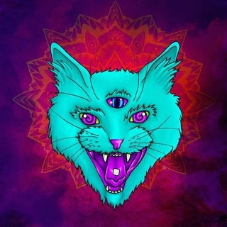 Логотип @kotikcod - Kotik Cod | Услуги кодера