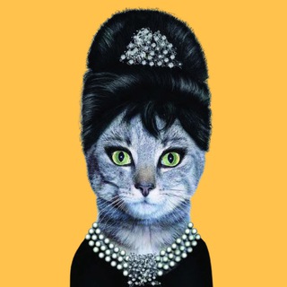 Логотип @kotiki_tg - Мурлычная 😽