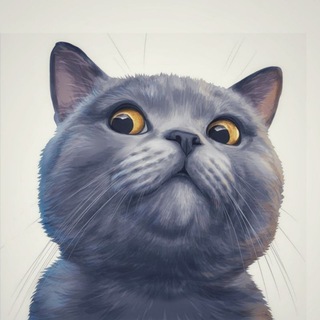 Логотип @kotikiandco - Котики & Co - пушистый позитив 😺🐾