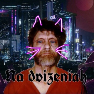 Логотип @kotikinadvizhe - Котики на движениях