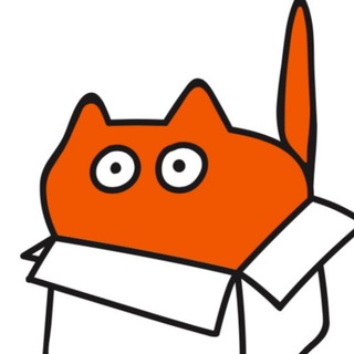 Логотип @kotikiteam_official - KotikiTeam