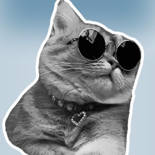 Логотип @kotikmmrr - Его котейшество