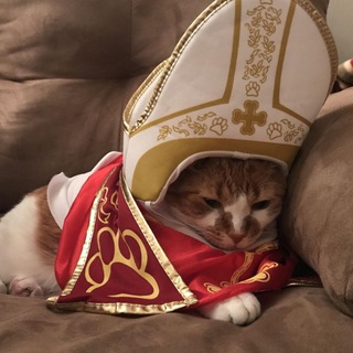 Логотип @kotikovyysup - kruca mustelo.