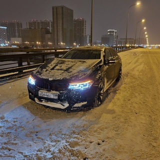 Логотип @kotikttmetro - KOTIK