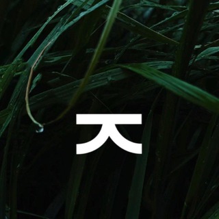 Логотип @kotikvydokhni - Котик, выдохни!