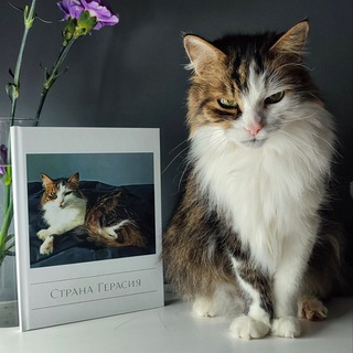 Логотип @kotinstvo - Щастье котинства