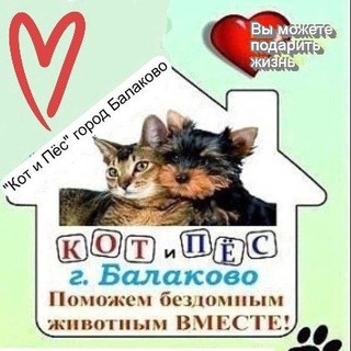 Логотип @kotipesgorodbalakovo - Кот и Пёс Балаково