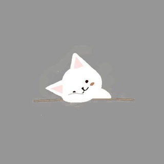 Логотип @kotislimesss - Фоны для историй🐱