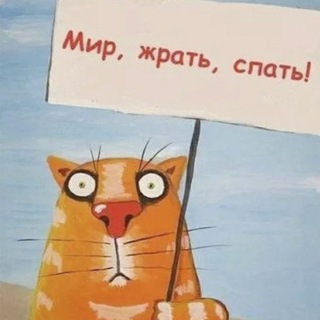 Логотип @kotjnovosti - КотоNEWS 🐾