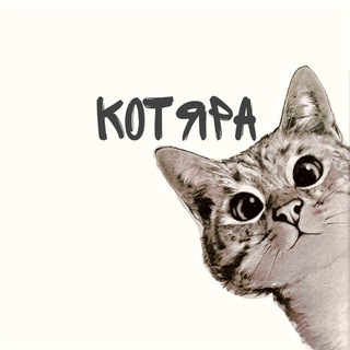 Логотип @kotkitkotkitkot - КОТЯРА😸