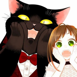 Логотип @kotmasternavselapki - Кот мастер на все лапки