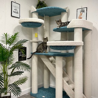 Логотип @koto_mebel - КотоМебель