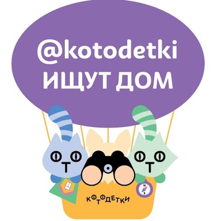 Логотип @kotodetki_ischut_dom - Kotodetki ischut dom