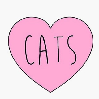 Логотип @kotomanechka - КотоМанечка (Коты Котики Котята)