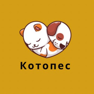 Логотип @kotopes88888888 - Котопес🐱🐶