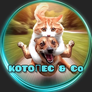 Логотип @kotopesico - КОТОПЁС & Сo