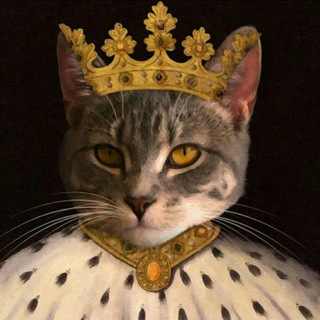 Логотип @kotorolmempublic - Котороль