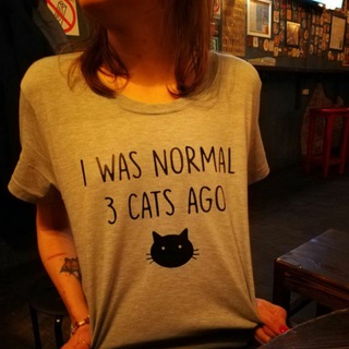 Логотип @kotostado - Я была нормальной три кота назад