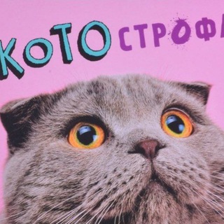 Логотип @kotostroffaa - КОТОстрофа