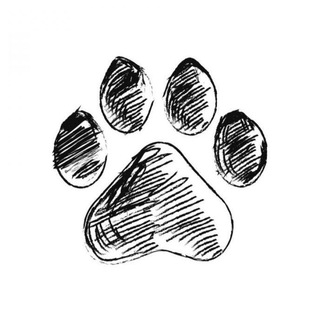 Логотип @kototerapiya - Дворовый психолог