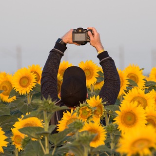 Логотип @kotovich_photo - Сам себе фотограф