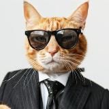 Финансовый диссидент от Котского