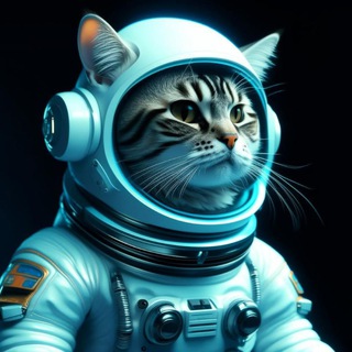 Логотип @kotsmos - КотСмос