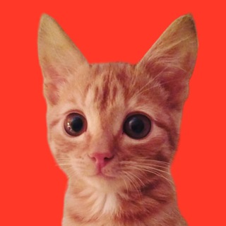 Логотип @kotsplay - Мысли Стримера | Kotsplay