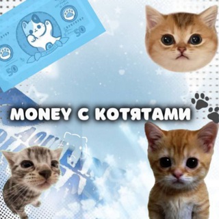 Логотип @kottiiiikk - money с котятами 🐾 chat