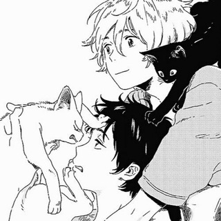 Логотип @kotukuchat - соседи