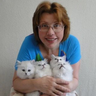 Логотип @kotved - 😸 КотоВедение🐈