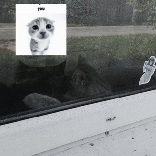 Логотип @kotyakammi - κ᧐ᴛяκᥲⲙᥙ