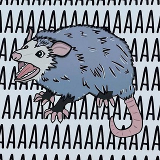 Логотип @kotyanaprovodi - Кітка на дроті