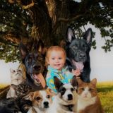 Логотип @kovheg_pod_dubom - Ковчег | под дубом