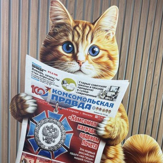 Логотип @kp_rostov - КП Ростов-на-Дону. Новости региона